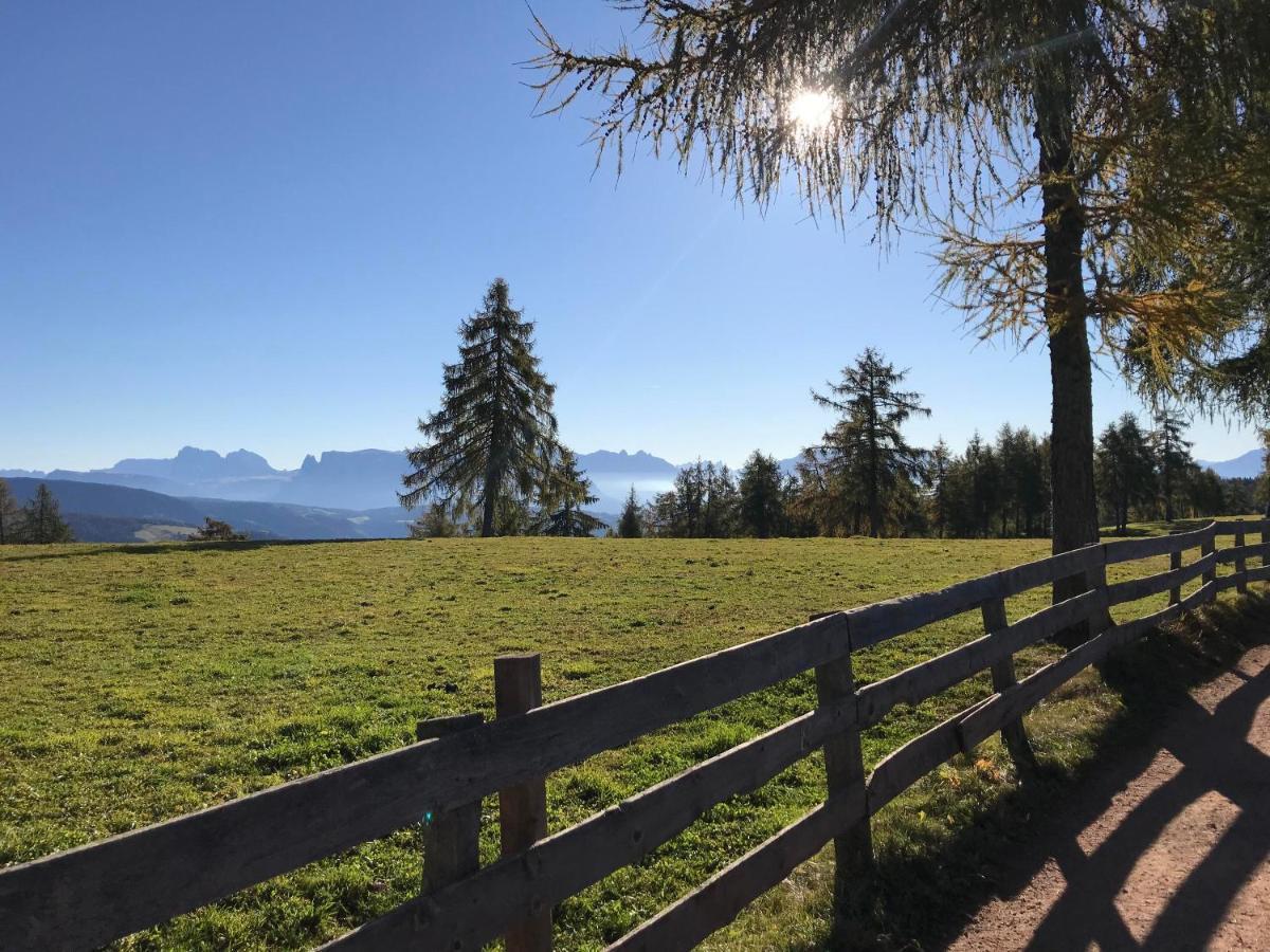 Beckenbinder Apartement Schlern San Genesio Atesino Buitenkant foto